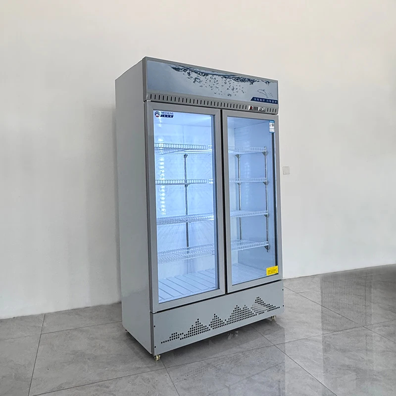 Getränkekühlschrank mit Einzel – Wine Beer Cooler Direct Bewertung und Preis